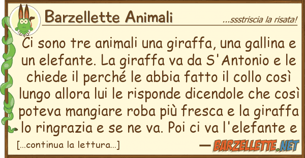 Barzellette Animali sono tre animali giraffa, gal