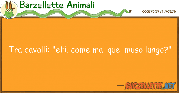 Barzellette Animali cavalli: "ehi..come mai quel muso lu