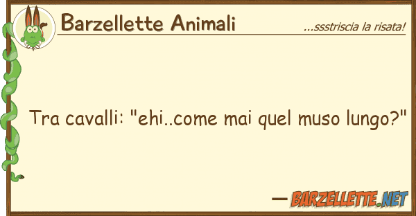 Barzellette Animali cavalli: "ehi..come mai quel muso lu
