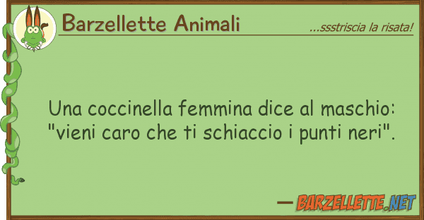 Barzellette Animali coccinella femmina dice maschio: