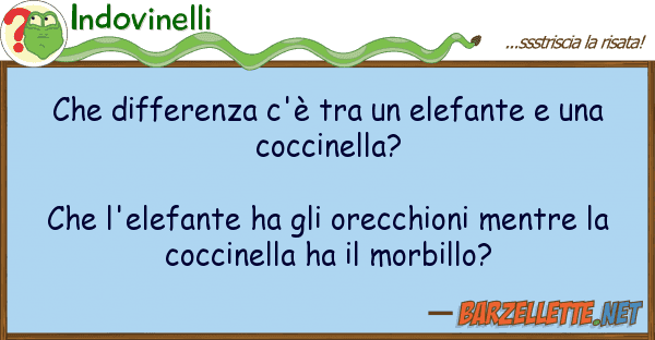 Indovinelli differenza c'è elefante