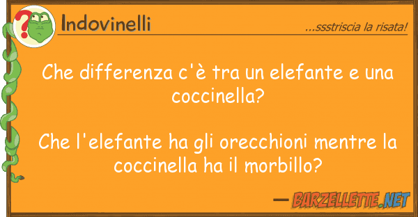 Indovinelli differenza c'è elefante