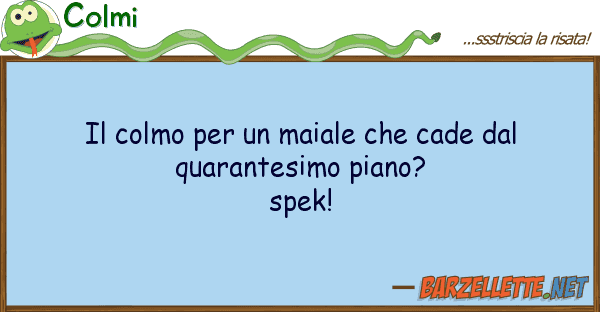 Colmi colmo maiale cade quar