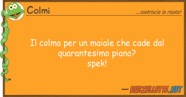 Colmi colmo maiale cade quar