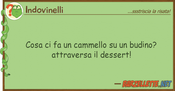 Indovinelli cosa fa cammello budino? att