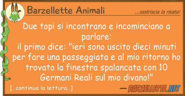 Barzellette Animali due topi incontrano incominciano