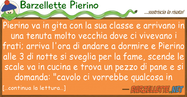 Barzellette Pierino pierino va gita classe