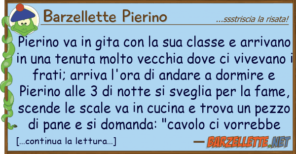 Barzellette Pierino pierino va gita classe