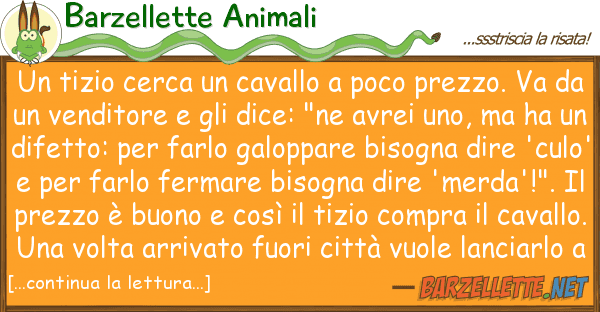 Barzellette Animali tizio cerca cavallo poco prezzo.