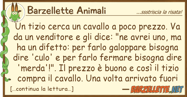 Barzellette Animali tizio cerca cavallo poco prezzo.
