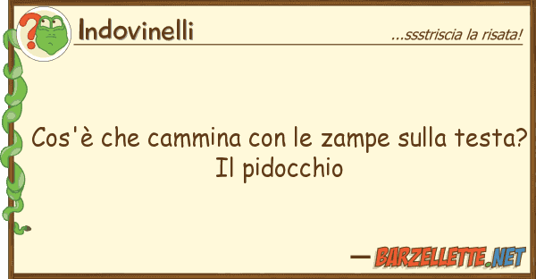Indovinelli cos'è cammina zampe te