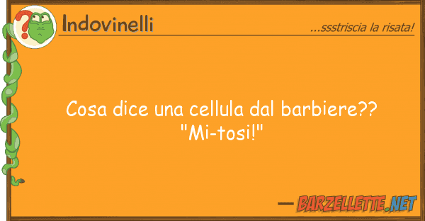 Indovinelli cosa dice cellula barbiere?? "mi