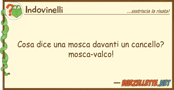 Indovinelli cosa dice mosca davanti cancello?