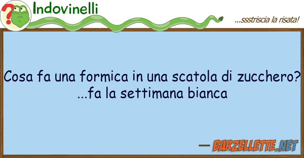 Indovinelli cosa fa formica scatola zu