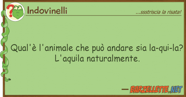 Indovinelli qual'è l'animale può andare sia