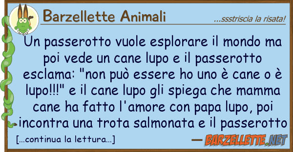 Barzellette Animali passerotto vuole esplorare mondo m