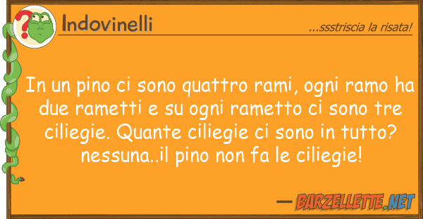 Indovinelli pino sono quattro rami, ogni ra