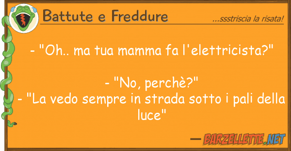 Battute e Freddure - "oh.. mamma fa l'elettricista?"