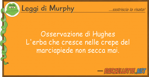 Leggi di Murphy osservazione hughes l'erba cresce