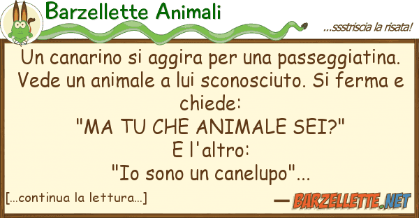 Barzellette Animali canarino aggira passeggiat