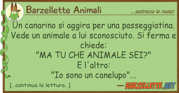 Barzellette Animali canarino aggira passeggiat