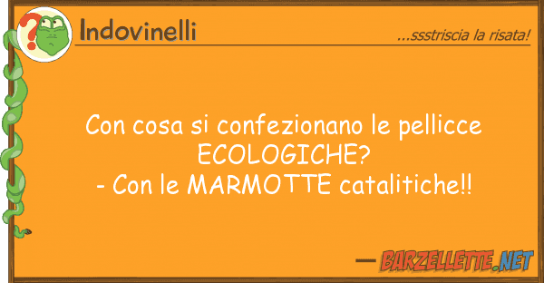Indovinelli cosa confezionano pellicce eco