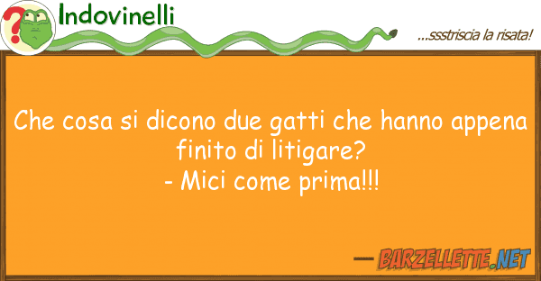 Indovinelli cosa dicono due gatti hanno