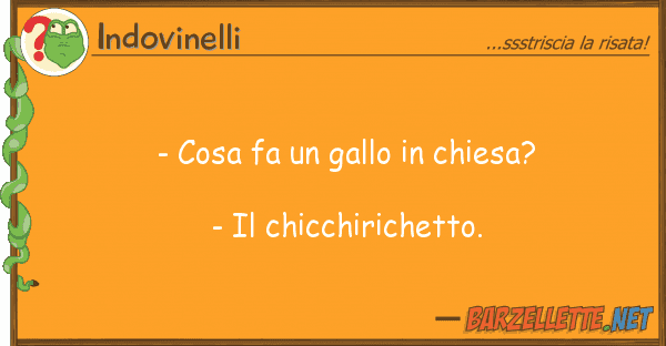 Indovinelli - cosa fa gallo chiesa? -