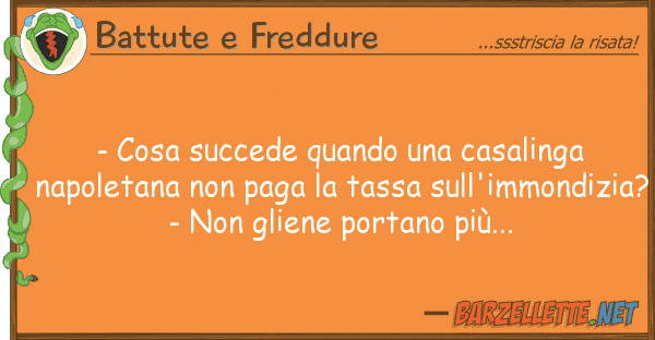 Battute e Freddure - cosa succede quando casalinga napo