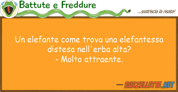 Battute e Freddure elefante trova elefantessa d