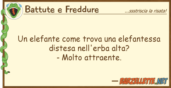 Battute e Freddure elefante trova elefantessa d