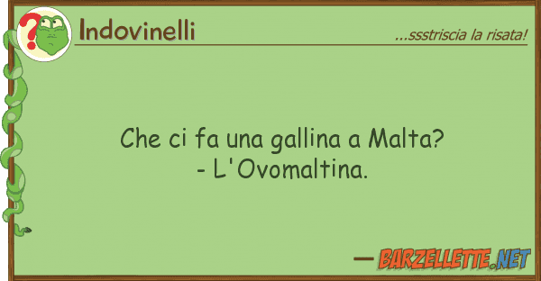 Indovinelli fa gallina malta? - l'ovom