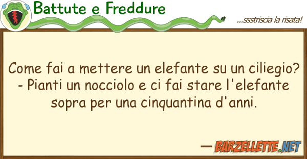 Battute e Freddure fai mettere elefante cil