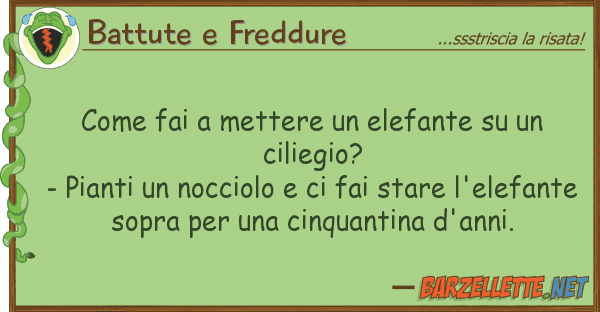 Battute e Freddure fai mettere elefante cil