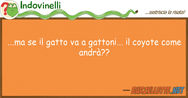 Indovinelli ...ma gatto va gattoni... coy
