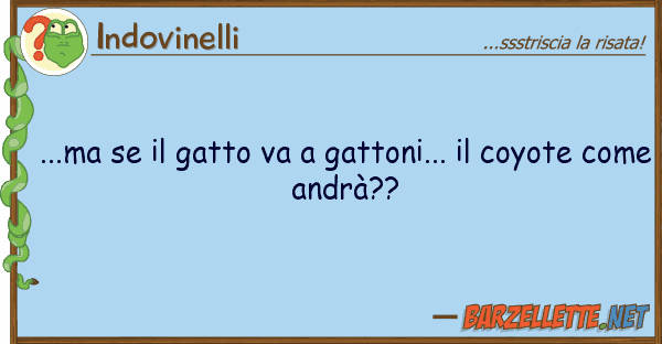 Indovinelli ...ma gatto va gattoni... coy