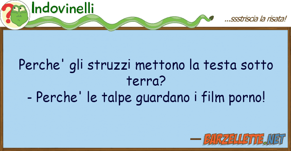 Indovinelli perche' struzzi mettono testa sot