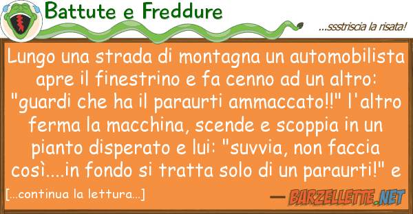 Battute e Freddure lungo strada montagna automobi