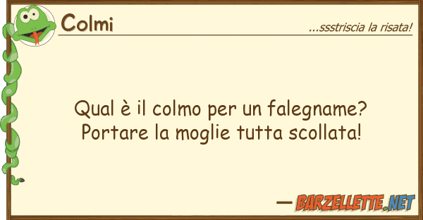 Colmi qual è colmo falegname? port