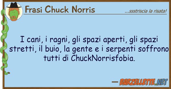 Frasi Chuck Norris cani, ragni, spazi aperti, s