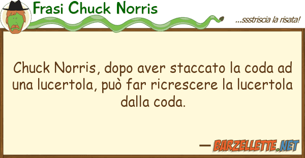 Frasi Chuck Norris chuck norris, dopo aver staccato coda