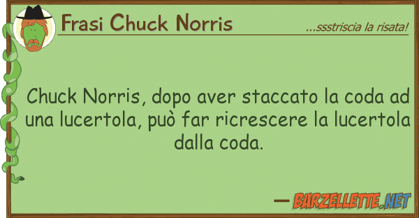 Frasi Chuck Norris chuck norris, dopo aver staccato coda