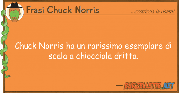 Frasi Chuck Norris chuck norris ha rarissimo esemplare d
