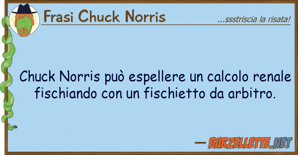 Frasi Chuck Norris chuck norris può espellere calcolo r