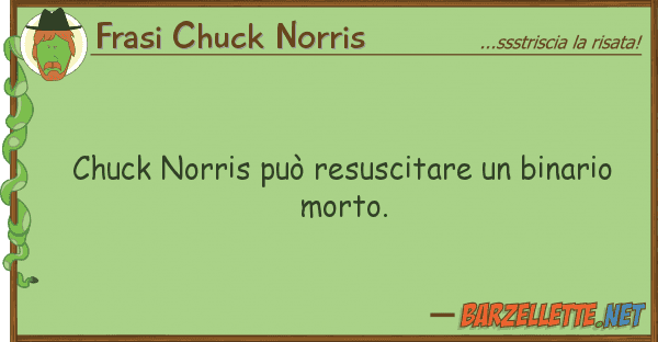 Frasi Chuck Norris chuck norris può resuscitare binario