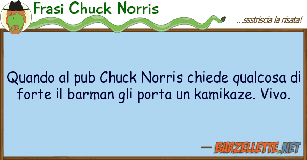 Frasi Chuck Norris quando pub chuck norris chiede qualco