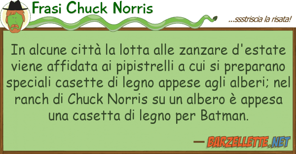 Frasi Chuck Norris alcune città lotta zanzare d