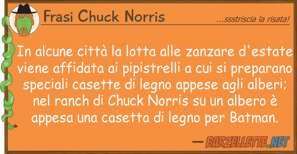 Frasi Chuck Norris alcune città lotta zanzare d