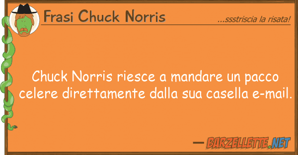 Frasi Chuck Norris chuck norris riesce mandare pacco