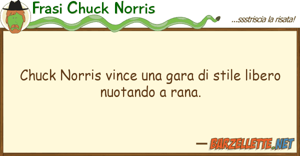 Frasi Chuck Norris chuck norris vince gara stile lib